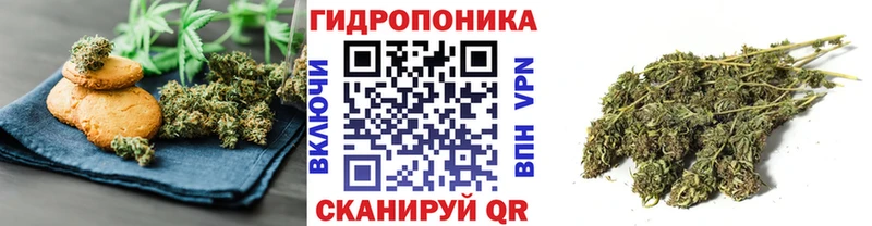 купить   Дмитровск  Canna-Cookies марихуана 
