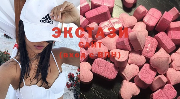 шишки Лабытнанги