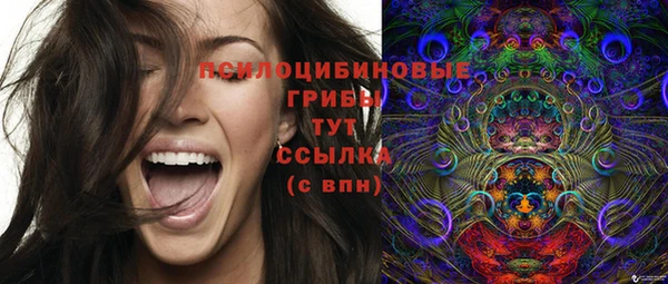 прущий лед Лагань