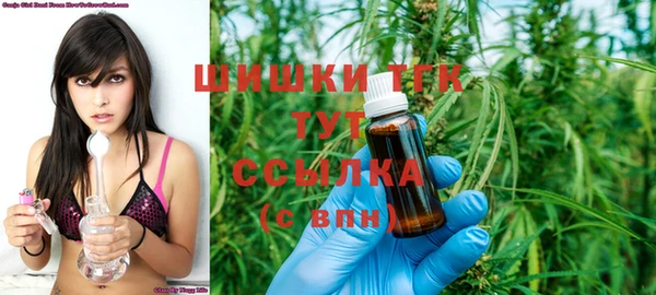 дмт Ладушкин