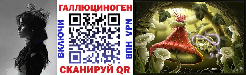 Псилоцибиновые грибы ЛСД  где можно купить наркотик  KRAKEN как войти  Дмитровск 
